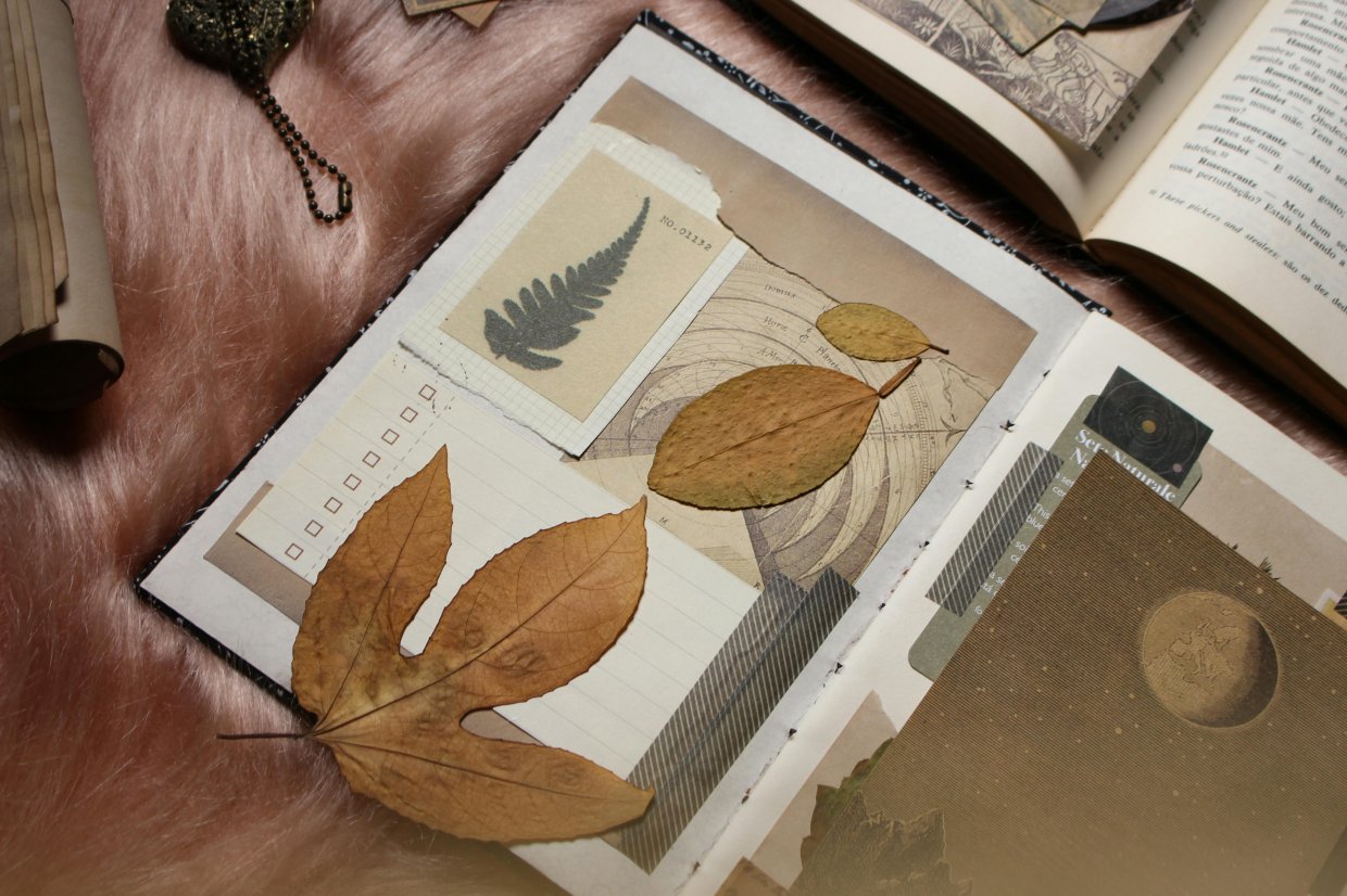 Fotoalbum til scrapbooking: kreativ fordybelse i en digital verden