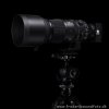 Sigma 150-600mm f/5-6.63 DG DN OS Sony E-Mount