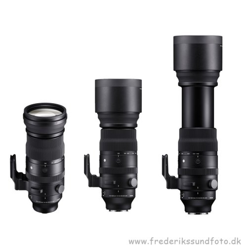 Sigma 150-600mm f/5-6.63 DG DN OS Sony E-Mount