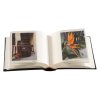 Focus Ritz Super 100 10x15 Sort