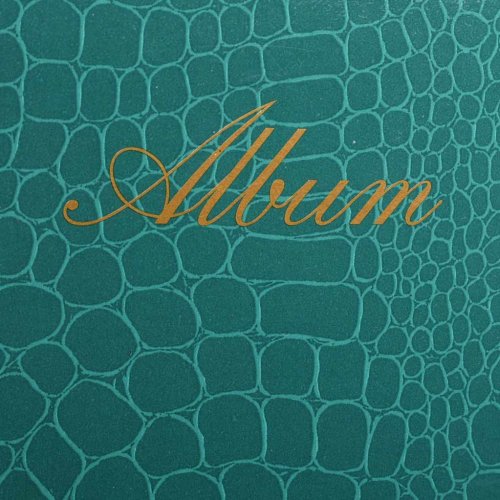 Hofmann 2 pak. 13x18 Gr�n Mini album